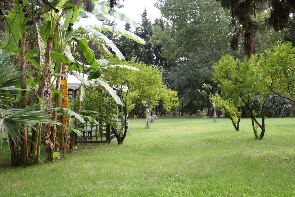 Villette Vacanze Bivona חדר תמונה